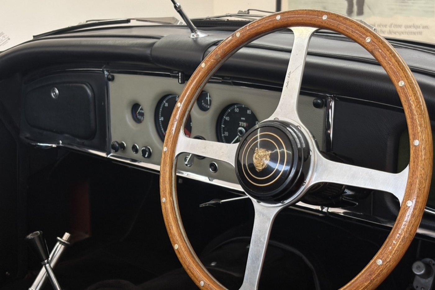 Interior 6