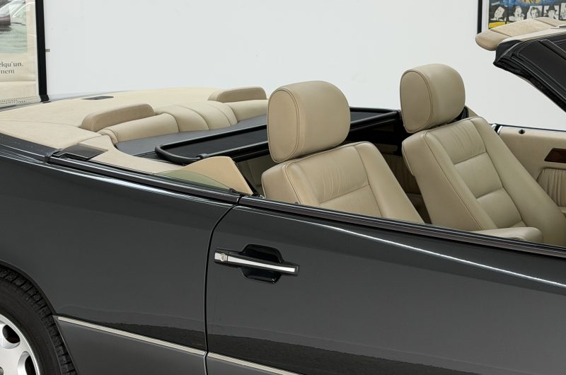 Interior 5